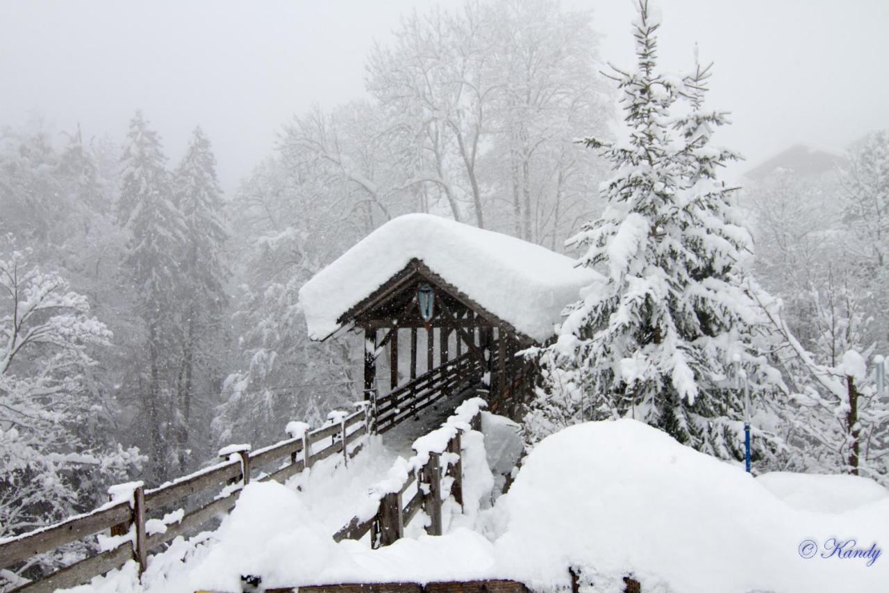 Haus Niederegger Appartamento *
